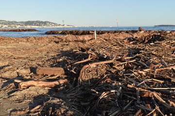 les plages de Cannes dévastées 
