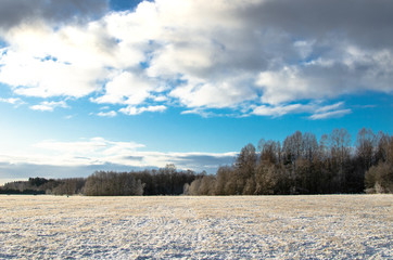 A field in winter against a forest background in Estonia