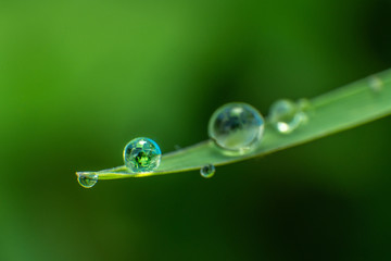 droplets on  grass 