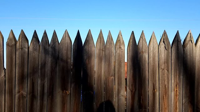 Fence made of sharp wooden stakes, blue clear sky, sunny day