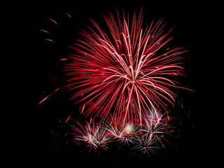 holiday fireworks flowers in the sky at night