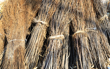 Fototapeta premium dry brown branch bundle pile together background view