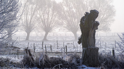 Zimowe Podlasie ze szronem, mgłą i szadzią, Polska © podlaski49