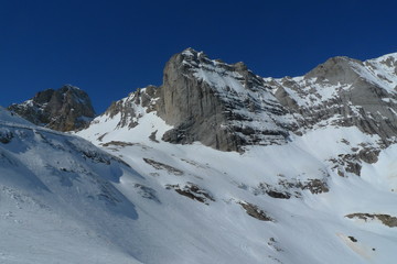 Montagne des Pyr&eacute;n&eacute;es