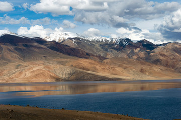 Fototapeta na wymiar Ladakh, India - Jul 30 2019 - Tso Moriri Lake in Changthang Plateau, Ladakh, Jammu and Kashmir, India. It is part of Ramsar Convention - Tsomoriri.