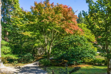 Obraz premium Seattle Garden In Autumn 4