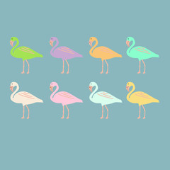 Pastel flamingo flat design 