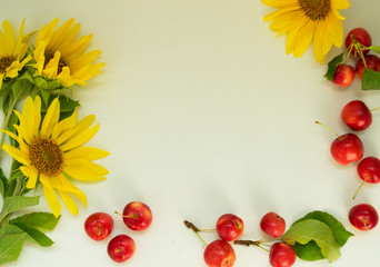 Autumn background Border of yellow sunflower flowers, red apples. Harvest holiday concept. There is a place for text.