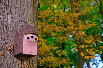Pottery bird house on a tree with blurred yellow leaves as background.