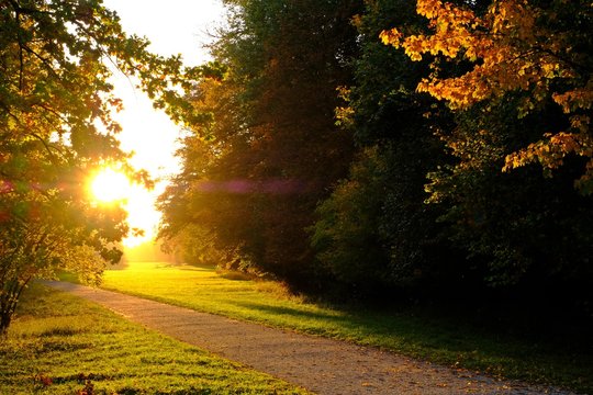 Walk Way In The Park With Late Afternoon Sun Light Leading The Way.