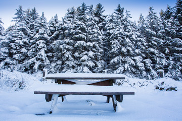 Picnic Table in the Snow
