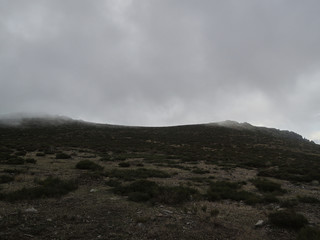 Collado del Piornal in the Sierra de Guadarrama National Park. Madrid's community. Spain
