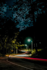 Lightrail road on the forrest