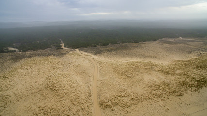 aerial view of a beach and the forest of the Landes