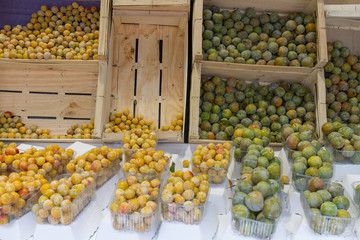Yellow and green plums - 308104677