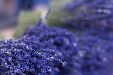 Lavender bunches horizontal - 308105221