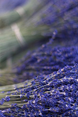 Lavender bouquet  - 308105244