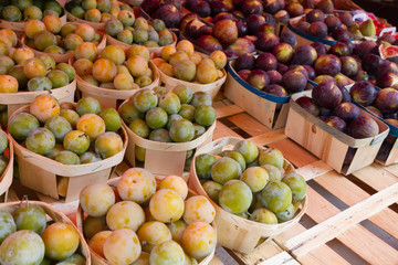 Plums at market - 308105403