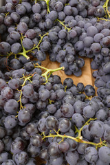 French grapes in bin - 308105410
