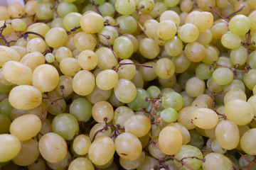White grape bunch - 308105468