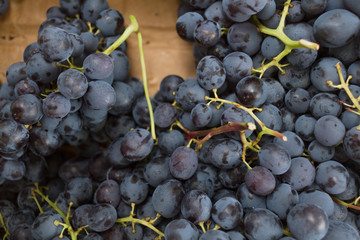 Red grape bunches at market - 308105469