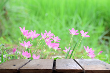 Pink flowers arranged wooden floor for product show and background