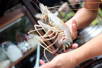 Large prawn handles for cooking in seafood restaurants