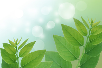 Nature green leaf background blur bokeh