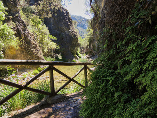 Fototapeta na wymiar The Cerrada de Elías on the route of the Borosa River in the Natural Park of the Sierra de Cazorla, Segura and Las Villas. In Jaén, Andalusia. Spain