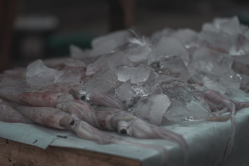Fresh fish at the Harbor of Flores