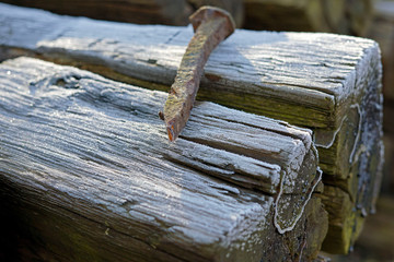shallow focal length of an old rairoad spike sits on top of frosted covered railroad bed ties