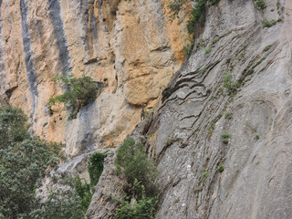 Fototapeta na wymiar A mountain goat next to the Linarejos waterfall on the Cerrada de Utrero. Natural Park of the Sierra de Cazorla, Segura and Las Villas. In Jaén, Andalusia. Spain