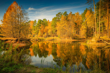 lake in autumn