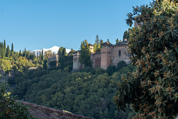 Fototapeta na wymiar castle on the hill and Sierra Nevada