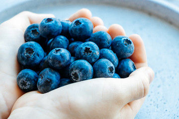 Blueberry berries in the hands close-up. Healthy eating concept.