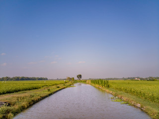 The river is surrounded by rice fields under a beautiful sky