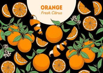 Orange fruit hand drawn package design. Orange tree frame template. Vector illustration. Menu design, brochure illustration. Colorful design. Citrus pattern illustration. Can used for packaging design