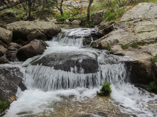 Fototapeta premium The Sunday Falls of the Aguilón or Navahondilla stream. Road to the Purgatorio waterfall in the Sierra de Guadarrama. Lozoya Valley Madrid's community.