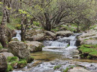 The Sunday Falls of the Aguilón or Navahondilla stream. Road to the Purgatorio waterfall in the Sierra de Guadarrama. Lozoya Valley Madrid's community.