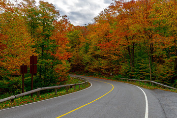 road in autumn