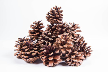 Pile of pine cones on a white background