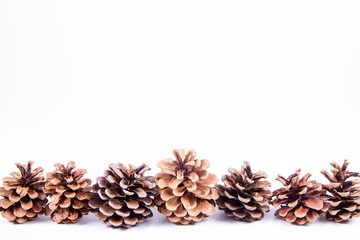 Raw of pine cones on a white background