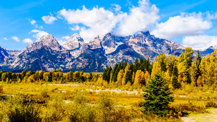 The Grand Tetons and Fall Color Trees viewed from Schwabacher Landing in Grand Tetons National Park, Wyoming, United States