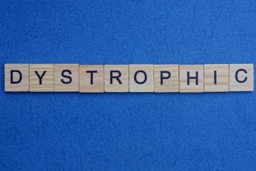 word dystrophic made from wooden letters lies on a blue table