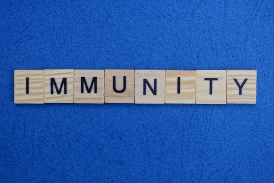 Word Immunity Made From Wooden Gray Letters Lies On A Blue Background