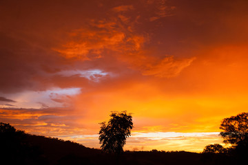 Fototapeta na wymiar Orange sunset in the company of trees.