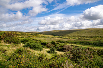 Fototapeta premium Landscape of Dartmoor National Park in late summer