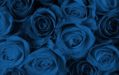 Floral natural background, roses pattern for backdrop