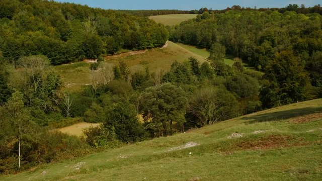 Amazing green scenery of the Arundel Wetland Centre, located in the South Downs National Park, West Sussex, England, UK