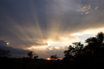 Obraz na płótnie Canvas Sun beams in the sunset.